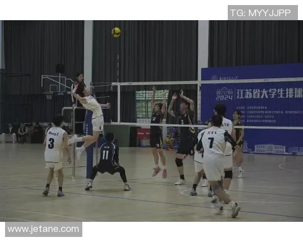 南京排球队逆袭之路：世锦赛背后的奋斗与荣耀